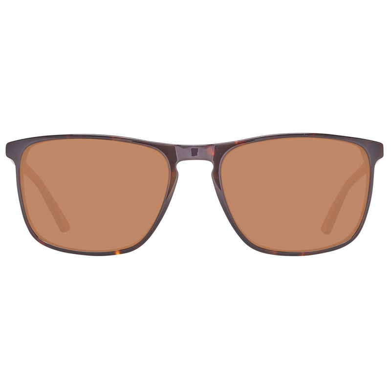 Brown plastic sunglasses-null