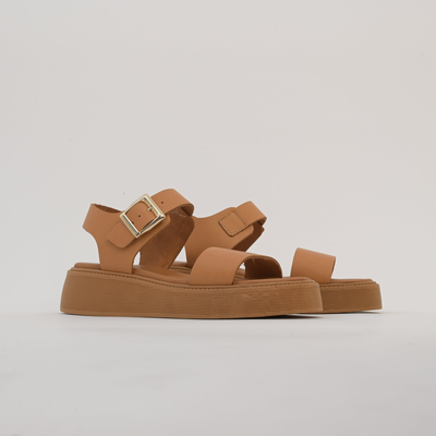 Korinna, Camel, medium