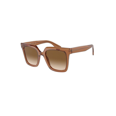 Brown acetate sunglasses, Brown, medium