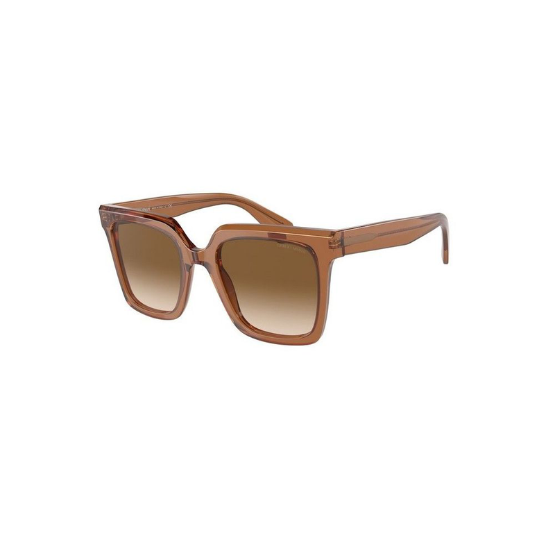 Brown acetate sunglasses-null