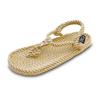 Athena camel, Camel, medium