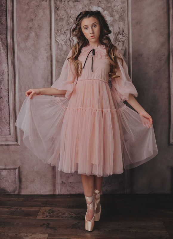 Product image: Dolly go lightly tulle neck ruffle in ballet pink-null