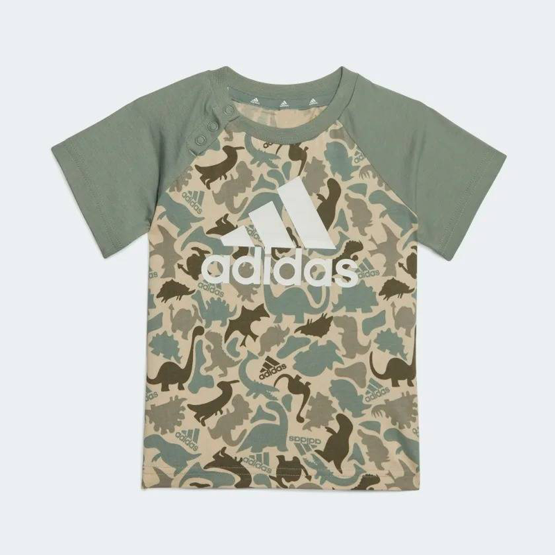 I aop co t set-null