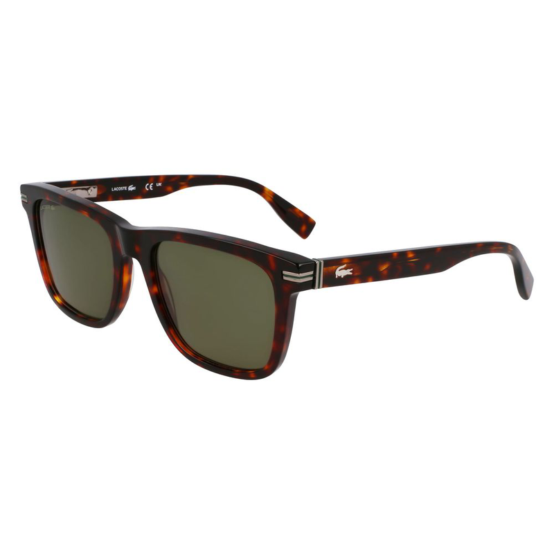 Brown acetate sunglasses-null