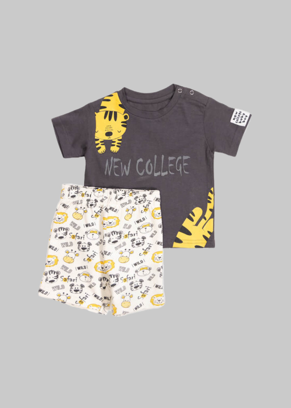 Elephant set-null