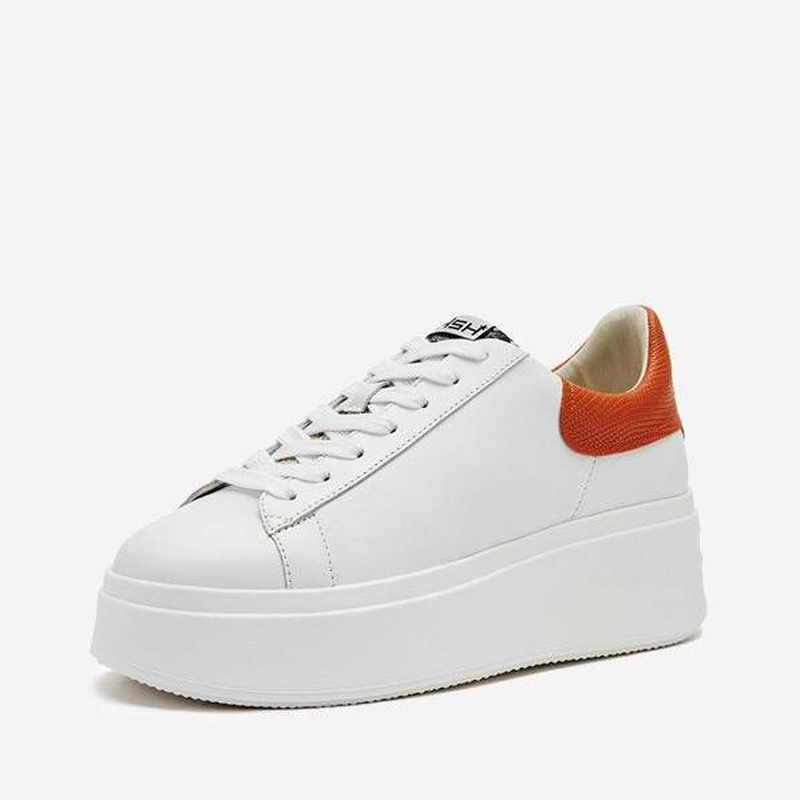 Ash "moby" sneaker-null