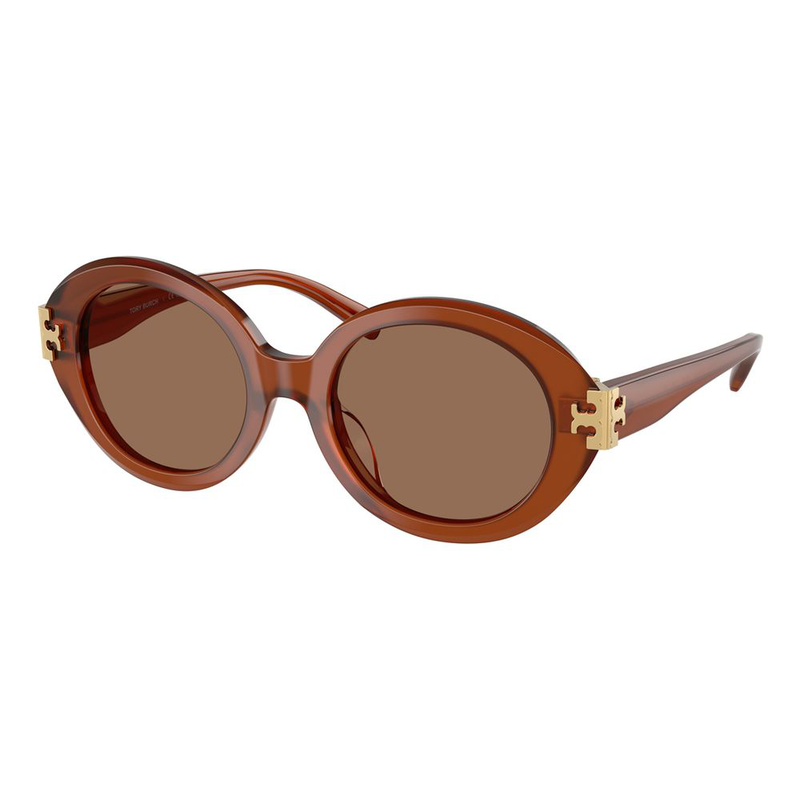 Brown acetate sunglasses-null