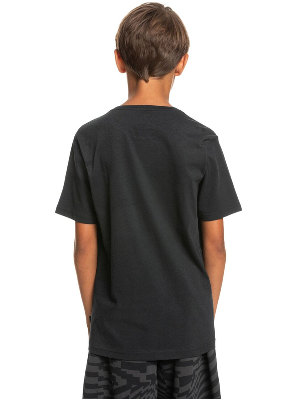 Quiksilver boy t-shirts sunset session ss youth (eqbzt04594--null