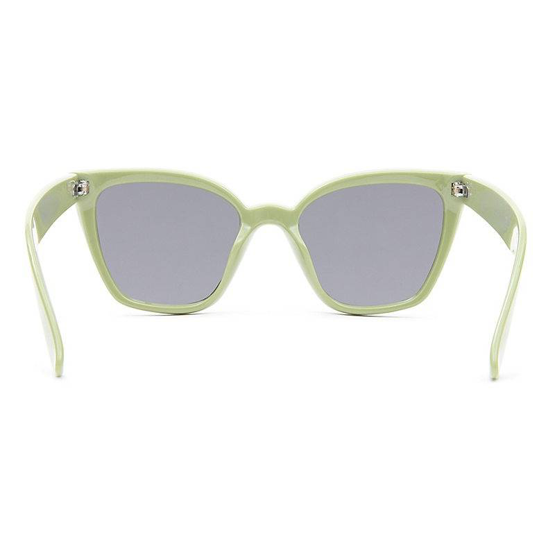 Cat sunglasses-null