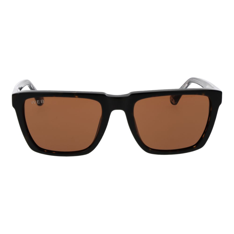 Black acetate sunglasses-null