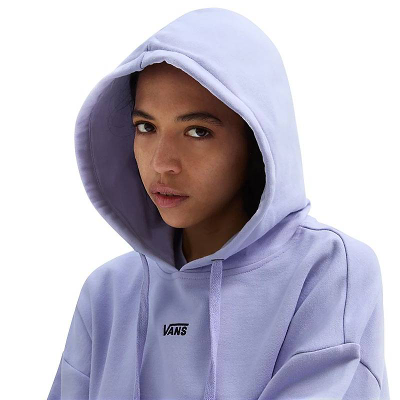 Vans flying v oversized pullover hoodie-null