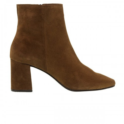 Mourtzi, Brown, medium