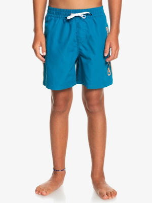 Quiksilver youth boys everyday vert 14" - swim shorts (eqbjv, Brn0-seaport, medium