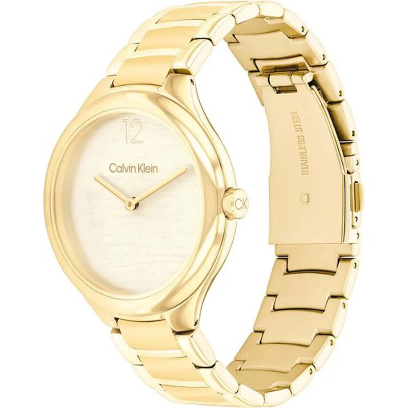 Calvin Klein delight watch-null