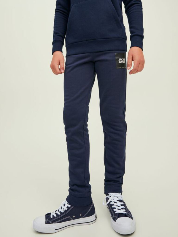 Buy Jack jones jpstgordon jjjilock sweat pants in junior Jinius