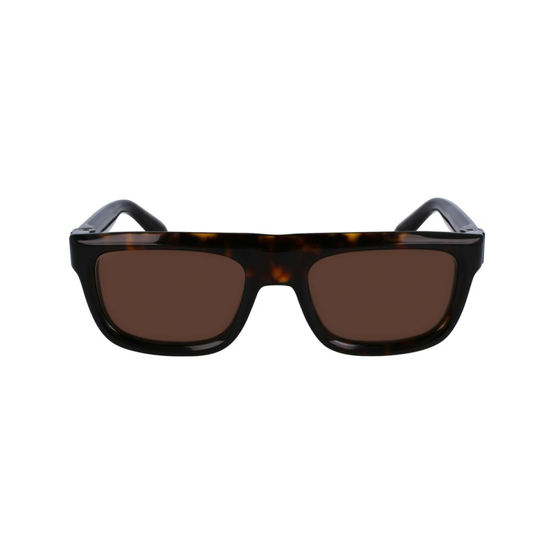 Brown acetate sunglasses-null