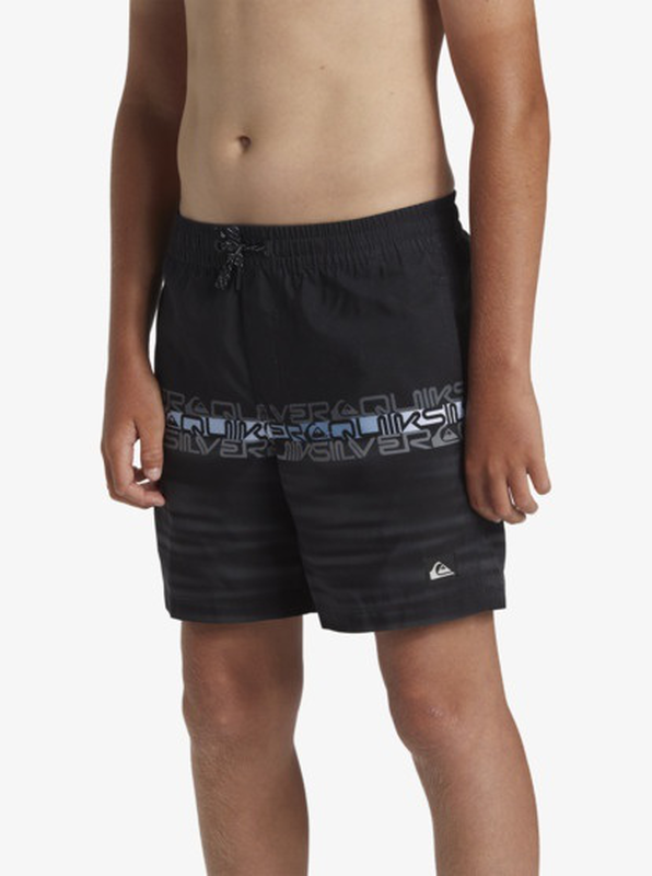 Quiksilver boys swimwear everyday wordblock vly yth 14-null