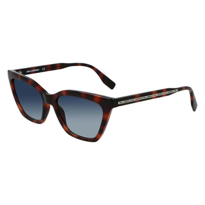 Brown injected sunglasses-null