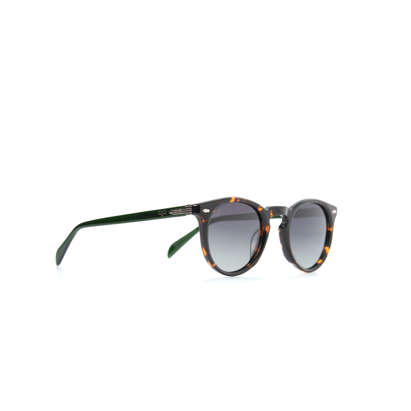 OJO sunglasses round handmade shell brown frame and green temples with green polarised lenses rx-null