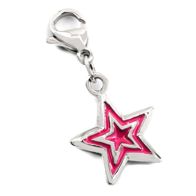 Bicolor stainless steel broch-null