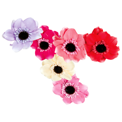 Flowers clip