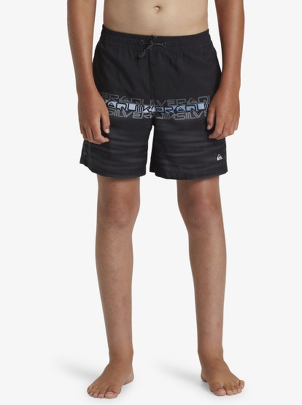 Quiksilver boys swimwear everyday wordblock vly yth 14-null