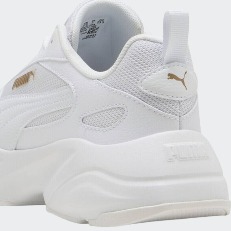 Product image: Cassia-null