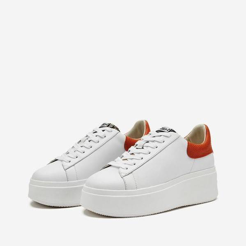 Ash "moby" sneaker-null
