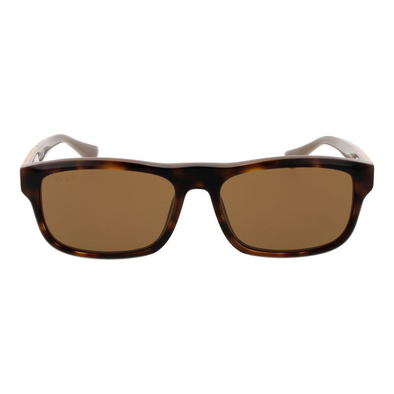 Brown acetate sunglasses-null