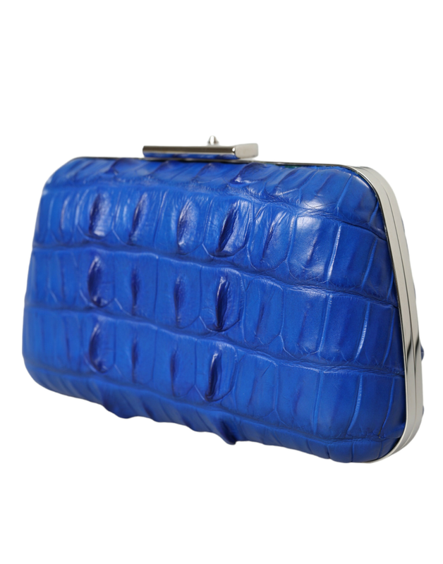 Blue exotic skin leather shoulder crossbody box clutch bag-null