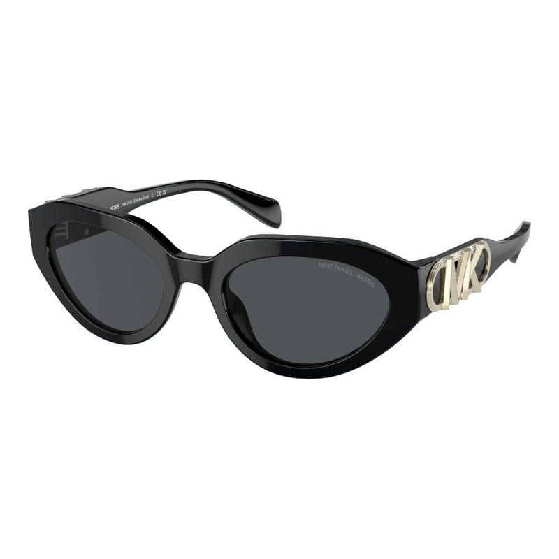Black acetate sunglasses-null