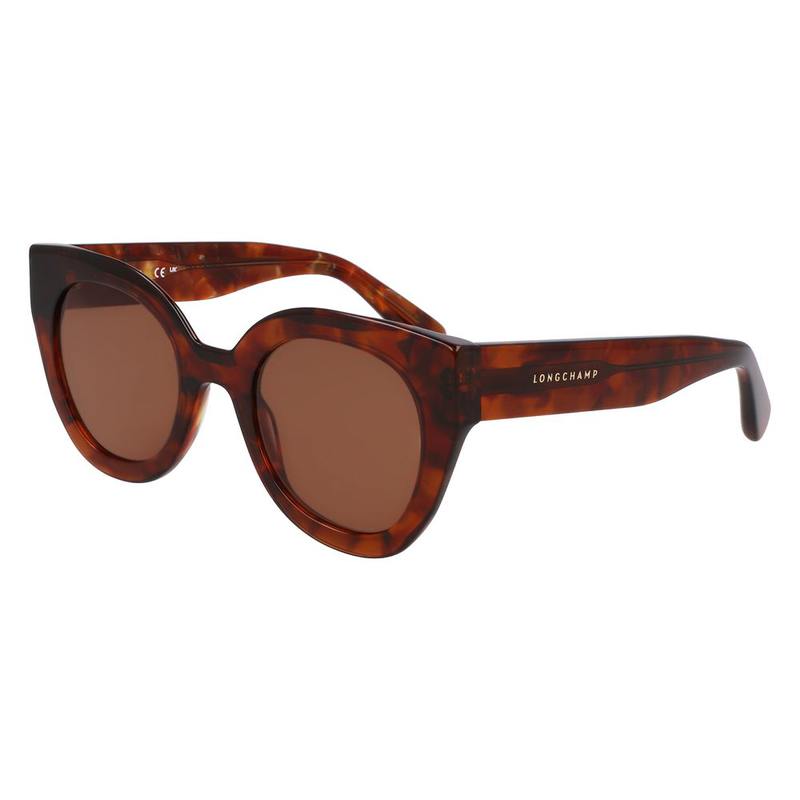 Brown acetate sunglasses-null