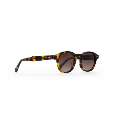 OJO sunglasses oval handmade shell brown frame and temples with brown polarised lenses rx, , medium