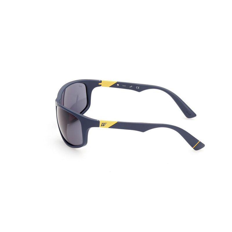 Blue acetate sunglasses-null
