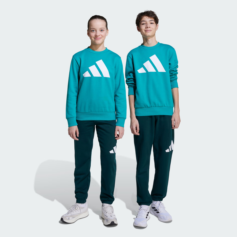 Adidas essentials joggers set jv9938-null