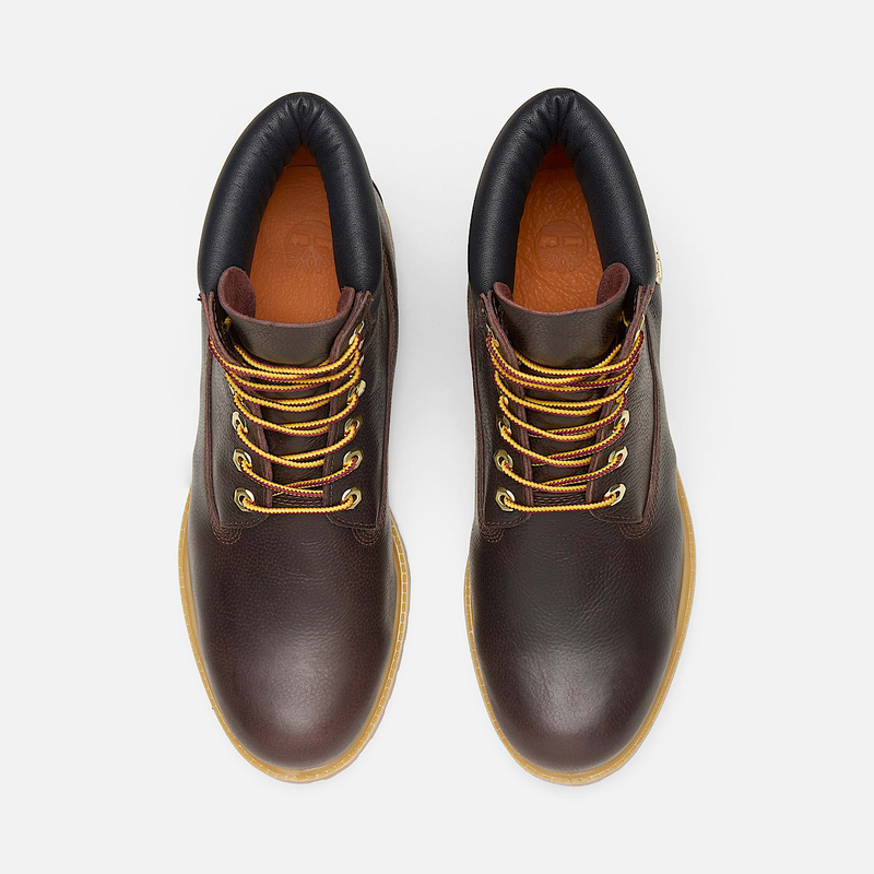 Timberland premium espresso 6-inch waterproof boot for men in brown-null