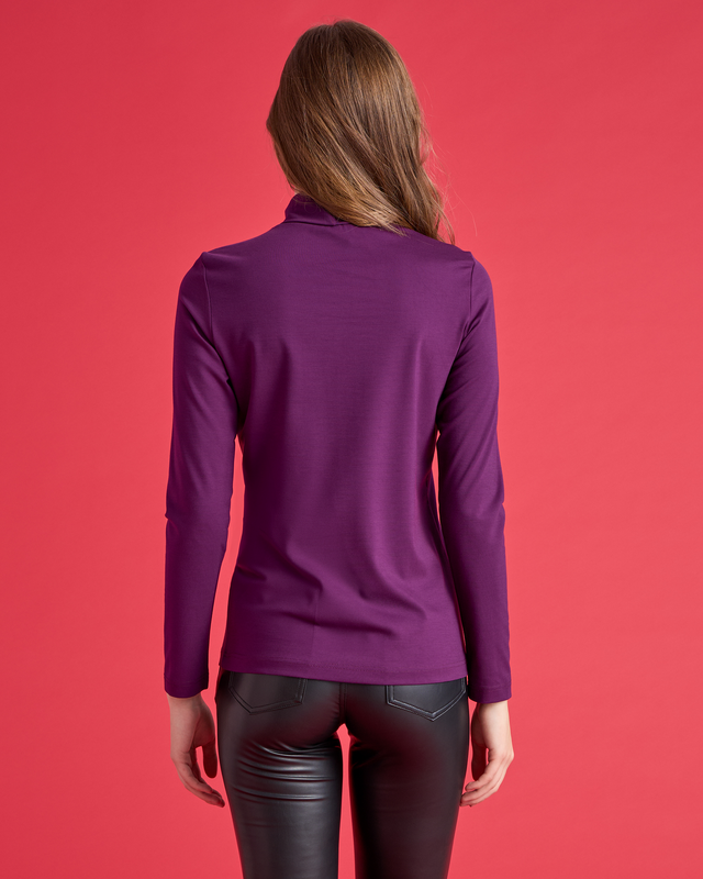 Product image: Blouse lycra high neck-null