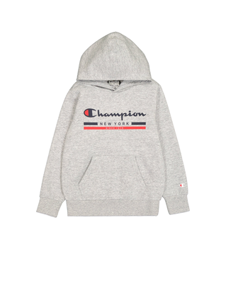 Champion boys hooded sweatshirt, Grey, medium