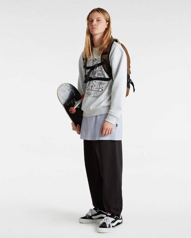 Vans epitome pullover hoodie-null