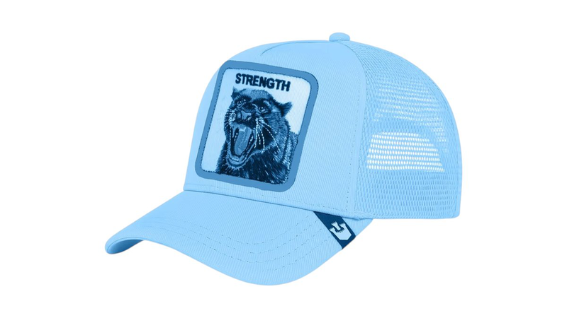 Goorin  bros | light blue panther | the "strength"-null