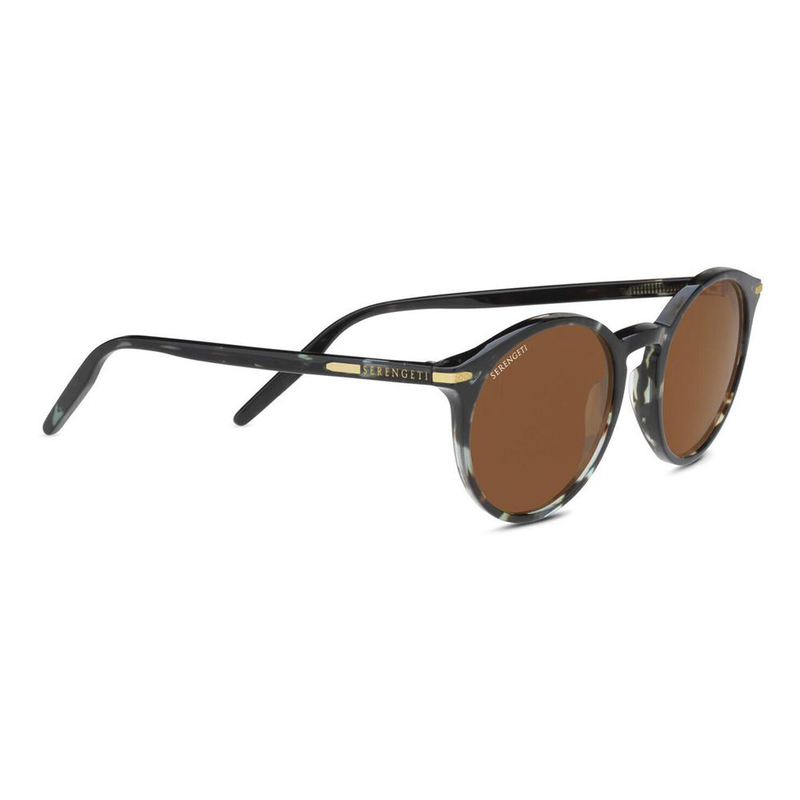 Blue acetate sunglasses-null