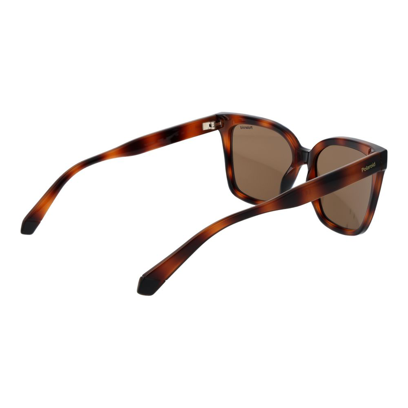 Brown plastic sunglasses-null