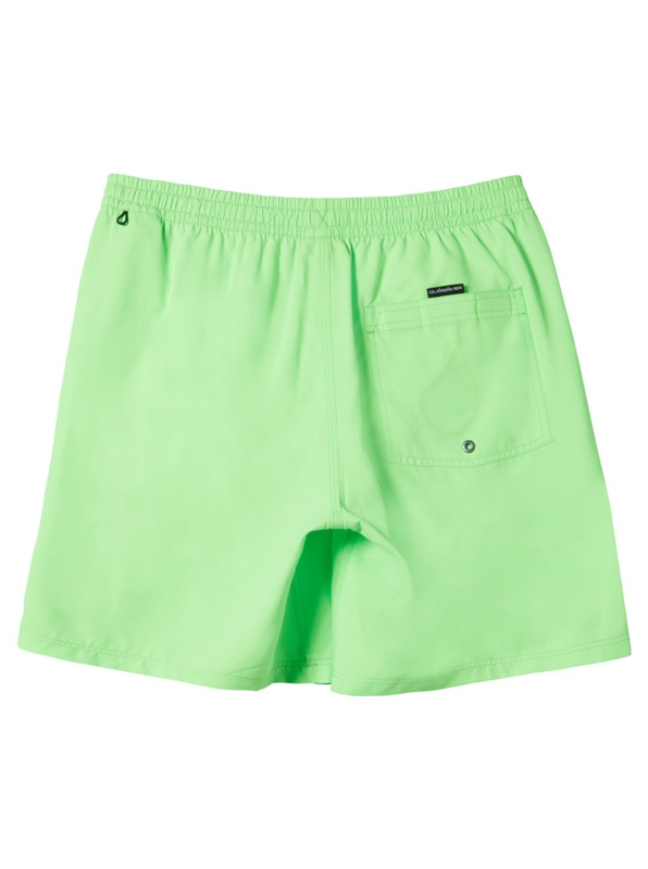 Quiksilver boys swimwear everyday solid volley yth 14 image number null