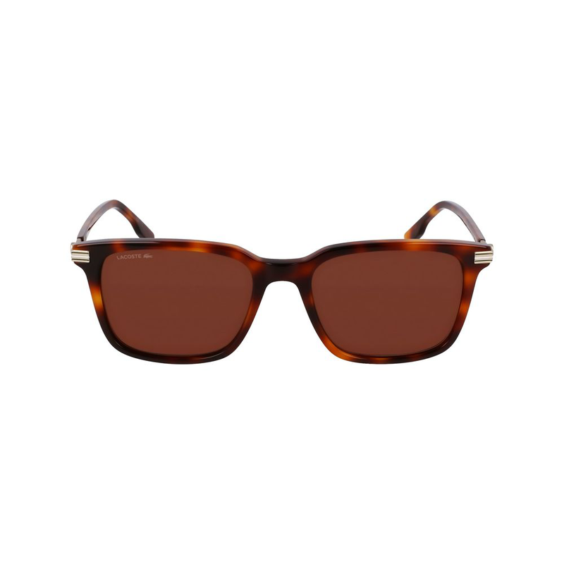 Brown acetate sunglasses-null