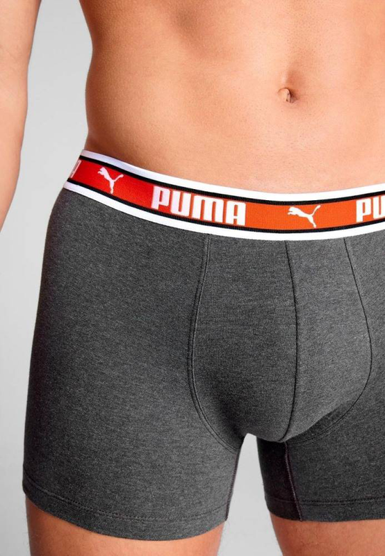 Men dual logo boxer 2p image number null
