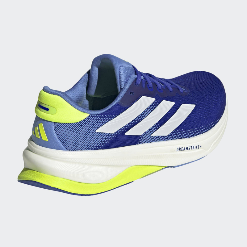 Supernova solution 2-null