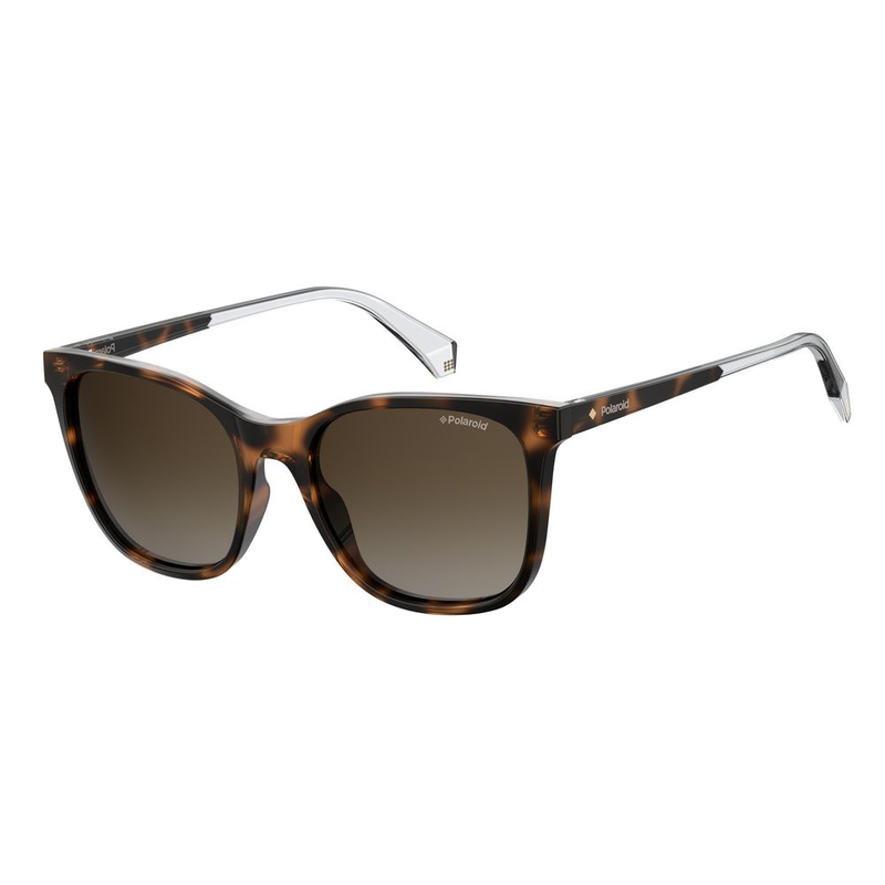 Brown plastic sunglasses-null
