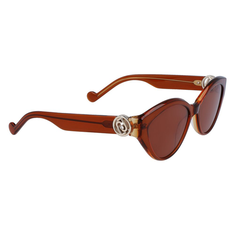 Brown acetate sunglasses-null