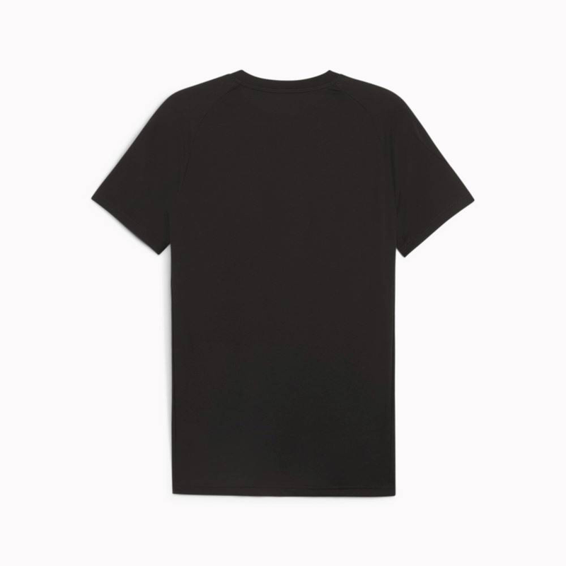 Product image: Evostripe t-shirt-null