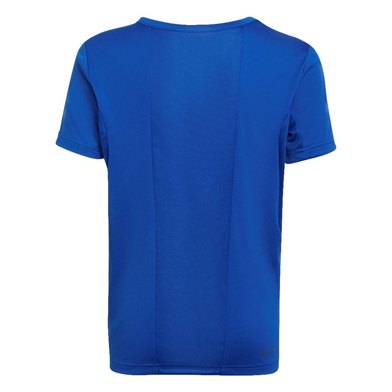 B seas t-shirt-null
